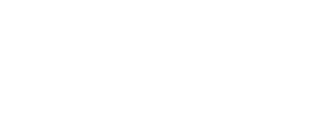 KDDI Deutschland